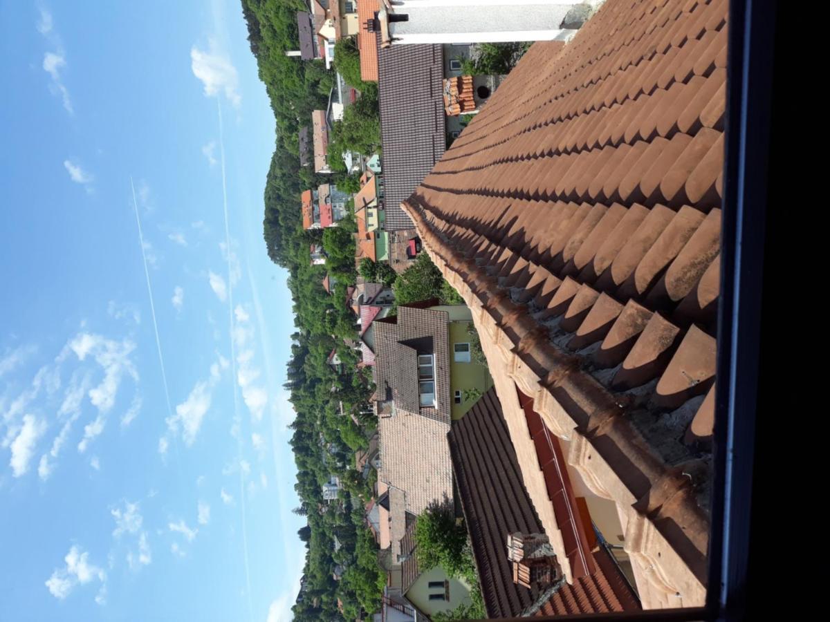Casa Matei Otel Braşov Dış mekan fotoğraf